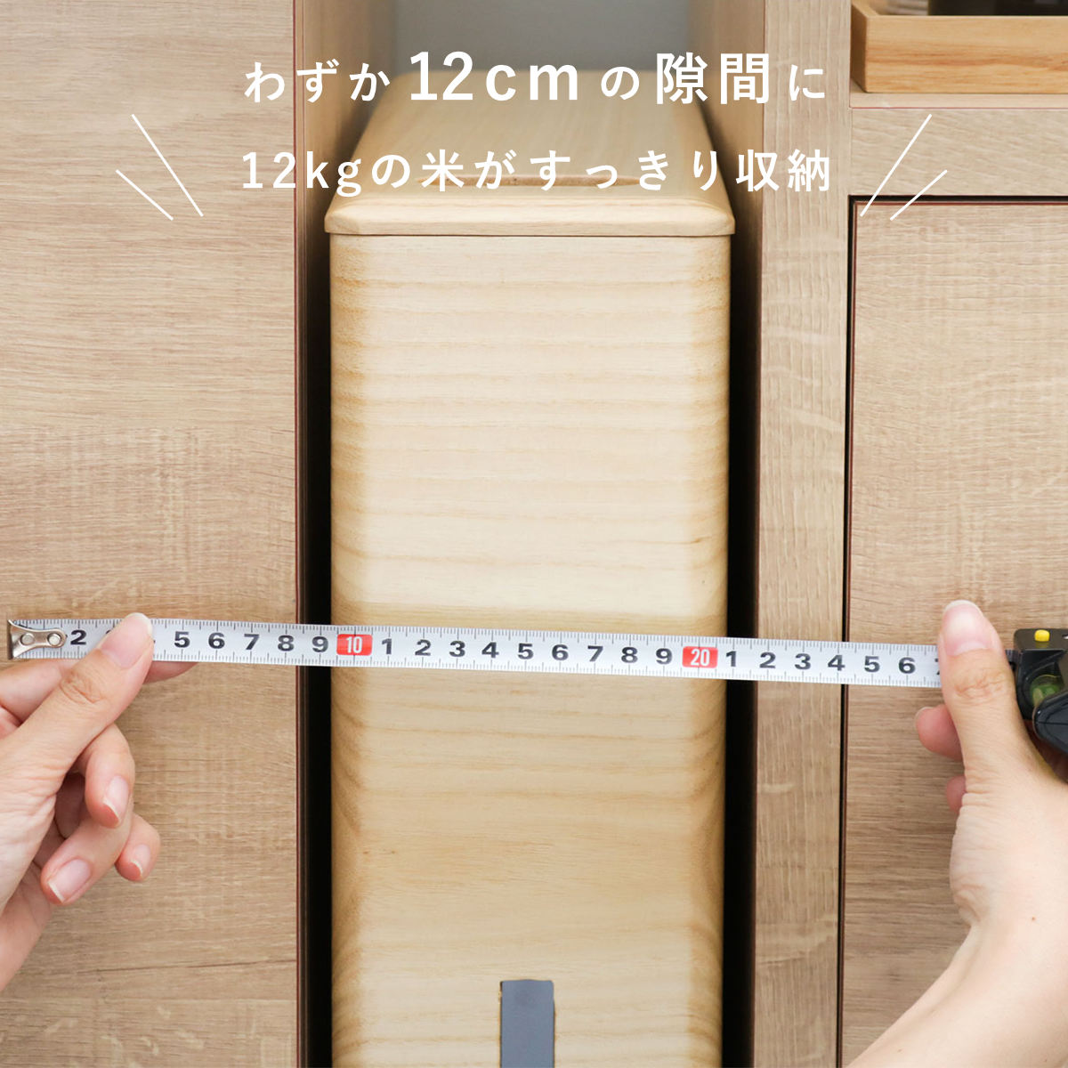 サンプル画像3