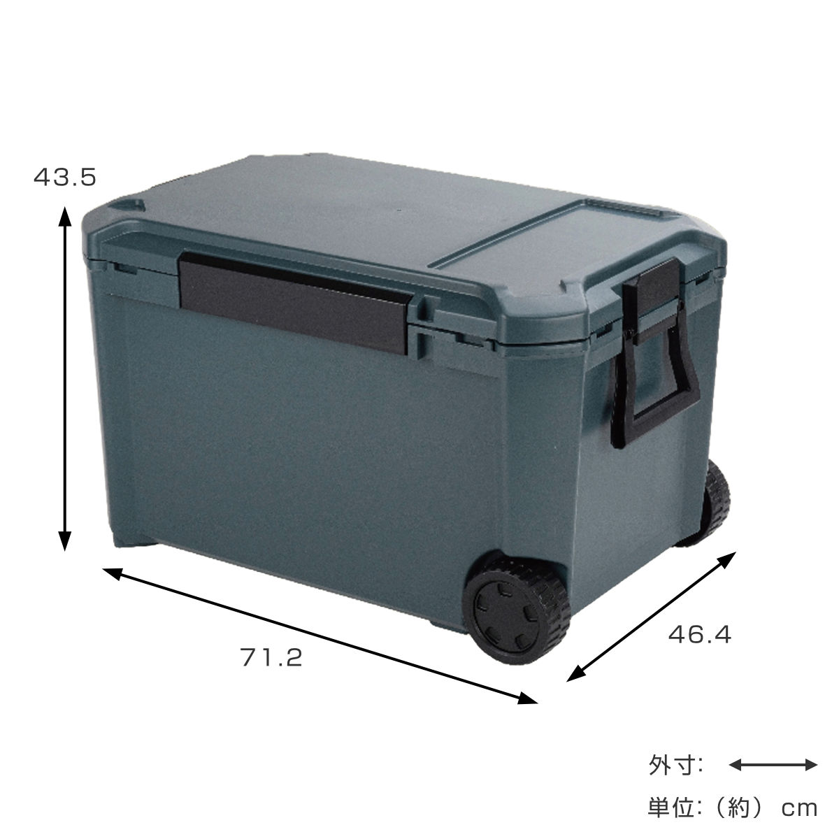 �����顼�ܥå��� 65L COREFLUX �¤�� �Ѳٽ�100kg �� ���� �����顼BOX ����ܥå��� �����顼�Хå� ��¢�ܥå��� 65��åȥ� �����顼 �ܥå��� BOX ������ �����ȥɥ� �ϥ�ɥ� �������դ� ���㥹�����դ� �ˡ�39����åס�