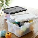 収納ケース 衣装ケース オリオン S M L 同色セット ( 収納ボックス 収納 ケース ボックス フタ付き プラスチック 小物収納 小物入れ ふた付き おしゃれ 日本製 )【39ショップ】