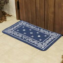玄関マット 45×75cm ペイズリー ( 玄関 マット 屋外 洗える 泥落とし エントランスマット 薄型 おしゃれ 玄関用品 45cm 75cm 滑り止め 加...