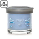 アロマキャンドル ヤンキーキャンドル シグネチャータンブラー S ( YANKEE CANDLE yankee candole アロマ キャンドル ろうそく 香...