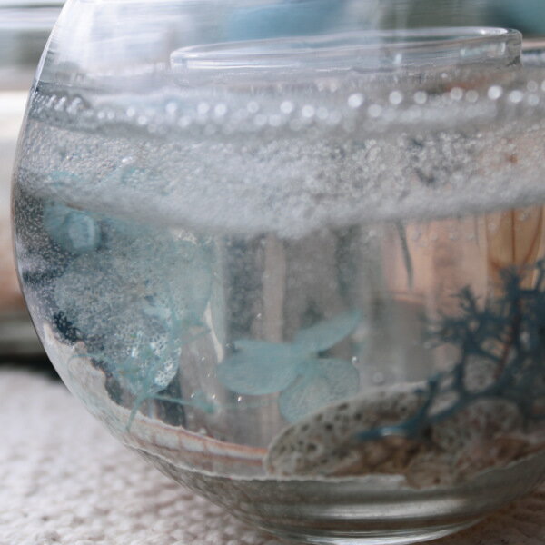 �����ɥ�ۥ���� ������ �������ꥦ�� ���饹 �� �ƥ����饤�� �ƥ����饤�ȥۥ���� �����ɥ륰�饹 ���饹�� LED�ƥ����饤���դ� ��Ǯ �����ɥ� ��ʪ���� �ڥ󥹥���� �ڥ�ۥ���� ����ƥꥢ ���� ������� �� ��39����åס�