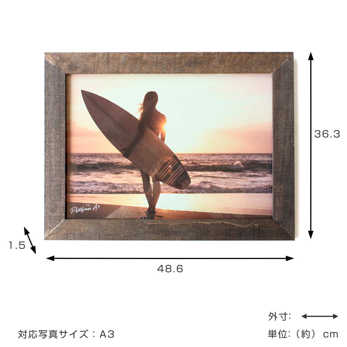 �ե��ȥե졼�� �ݥץ饦�å� A3 �ɳݤ� �� �ե��ȥ������ �̿�Ω�� ������� �� �̿� �ե졼�� ���� �� �� �礭�� �̿��ե졼�� �̿����� �̿����� ����ƥꥢ ���� �ե��� ���� �ݥ����� �� ��39����åס�