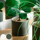 KINTO キントー プラントポット 170×160mm ( 鉢 植木鉢 プランター フラワーポット 17cm おしゃれ かわいい シンプル 観葉植物 グリーン...