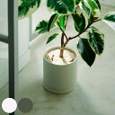 KINTO キントー プラントポット 200×195mm ( 鉢 植木鉢 プランター フラワーポット 20cm おしゃれ かわいい シンプル 観葉植物 グリーン...
