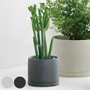 KINTO キントー プランター プラントポット85mm 105mm 135mm ( 8.5cm 10.5cm 13.5cm 磁器 植木鉢 鉢植え フラワーポッ...