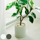 KINTO キントー プラントポット 170×160mm 200×195mm ( 鉢 植木鉢 プランター フラワーポット 17cm 20cm おしゃれ かわいい...