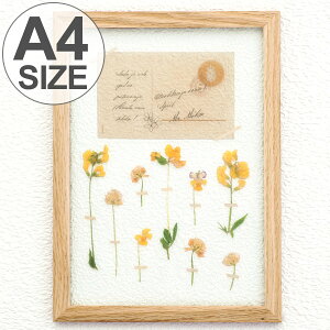 アートフレーム　HERBARIUM　ART　FRAME　ミヤコグサ×Natural （ ハーバリウム アート 壁掛け 花 グリーン インテリア 雑貨 アンティーク ナチュラル おしゃれ ギフト プレゼント 母の日 お祝い 誕生日 結婚祝い 新築祝い ）【5000円以上送料無料】