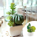 人工観葉植物 消臭アーティフィシャルグリーン サキュレントリフレリウム S タイプ2 ( 造花 フェイクグリーン インテリアフラワー アートフラワー 人工 フェ...