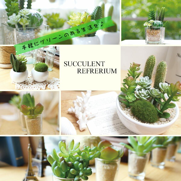 �͹����տ�ʪ �ý������ƥ��ե�����륰�꡼�� ��������ȥ�ե�ꥦ�� M �ݷ� �� ¤�� �ե��������꡼�� ����ƥꥢ�ե� �����ȥե� �͹� �ե����� ��ʪ ¿����ʪ ���ܥƥ� CT���� �ý� ���� ����ƥꥢ ���� ��ʪ �� ��39����åס�