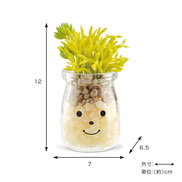 �ե��������꡼�� �͹����տ�ʪ �ե��ߡ��� �ý������ƥ��ե�����륰�꡼�� �ȥˡ� �� ¤�� �͹���ʪ ���տ�ʪ �͹� ��ʪ ¿����ʪ �ꥢ�� ct���� �ý� �ɱ� ���� ���� ���� ���å��� ����ƥꥢ �ˡ�39����åס�