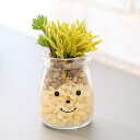 フェイクグリーン 人工観葉植物 ファミーユ 消臭アーティフィシャルグリーン トニー ( 造花 人工植物 観葉植物 人工 植物 多肉植物 リアル ct触媒 消臭 ...