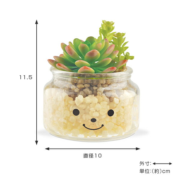 �ե��������꡼�� �͹����տ�ʪ �ե��ߡ��� �ý������ƥ��ե�����륰�꡼�� ���˥��� �� ¤�� �͹���ʪ ���տ�ʪ �͹� ��ʪ ¿����ʪ �ꥢ�� ct���� �ý� �ɱ� ���� ���� ���� ���å��� ����ƥꥢ �ˡ�39����åס�