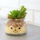 フェイクグリーン 人工観葉植物 ファミーユ 消臭アーティフィシャルグリーン ダニエル ( 造花 人工植物 観葉植物 人工 植物 多肉植物 リアル ct触媒 消臭 防汚 抗菌 風水 玄関 キッチン インテリア )【39ショップ】