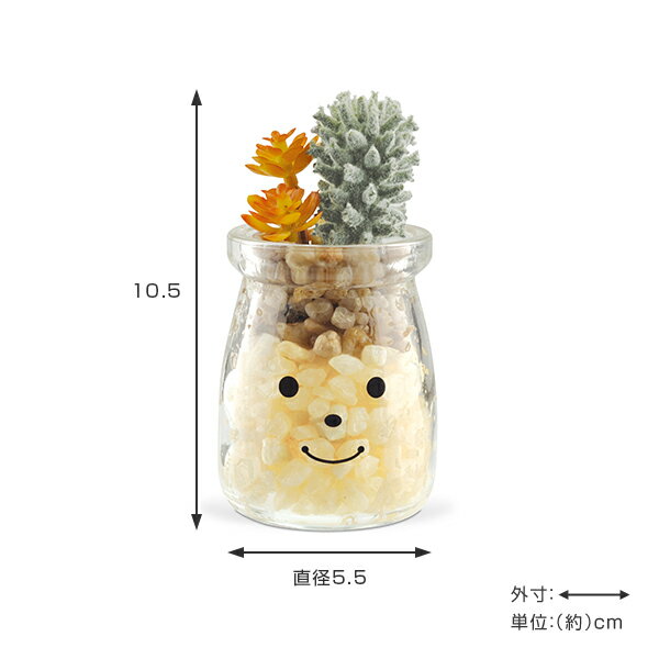 �ե��������꡼�� �͹����տ�ʪ �ե��ߡ��� �ý������ƥ��ե�����륰�꡼�� ����ǥ� �� ¤�� �͹���ʪ ���տ�ʪ �͹� ��ʪ ¿����ʪ �ꥢ�� ct���� �ý� �ɱ� ���� ���� ���� ��ӥ� �ȥ��� ����ƥꥢ �ˡ�39����åס�