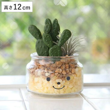 フェイクグリーン 人工観葉植物 ファミーユ 消臭アーティフィシャルグリーン ルーク ( 造花 人工植物 観葉植物 人工 植物 多肉植物 リアル ct触媒 消臭 防汚 抗菌 風水 玄関 リビング トイレ インテリア サボテン )【39ショップ】