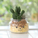 フェイクグリーン 人工観葉植物 ファミーユ 消臭アーティフィシャルグリーン ルーク ( 造花 人工植物 観葉植物 人工 植物 多肉植物 リアル ct触媒 消臭 防汚 抗菌 風水 玄関 リビング トイレ インテリア サボテン )【39ショップ】
