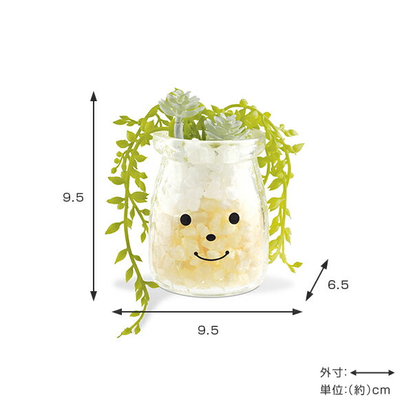 �ե��������꡼�� �͹����տ�ʪ �ե��ߡ��� �ý������ƥ��ե�����륰�꡼�� �ƥ��顼 �� ¤�� �͹���ʪ ���տ�ʪ �͹� ��ʪ ¿����ʪ �ꥢ�� ct���� �ý� �ɱ� ���� ���� ���� ��� ����ƥꥢ ���꡼��ͥå��쥹 �ˡ�39����åס�