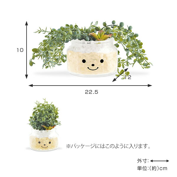 �ե��������꡼�� �͹����տ�ʪ �ե��ߡ��� �ý������ƥ��ե�����륰�꡼�� �ʥ󥷡� �� ¤�� �͹���ʪ ���տ�ʪ �͹� ��ʪ ¿����ʪ �ꥢ�� ct���� �ý� �ɱ� ���� ���� ���� ��� ����ƥꥢ �ˡ�39����åס�