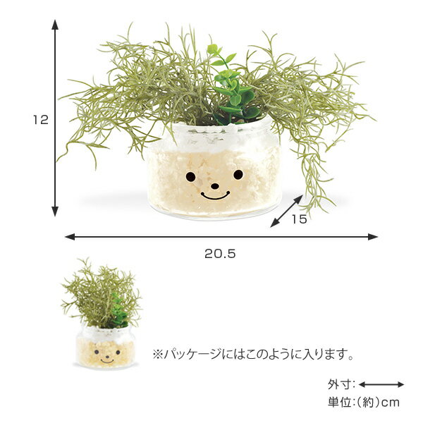 �ե��������꡼�� �͹����տ�ʪ �ե��ߡ��� �ý������ƥ��ե�����륰�꡼�� �ϥ�� �� ¤�� �͹���ʪ ���տ�ʪ �͹� ��ʪ ¿����ʪ �ꥢ�� ct���� �ý� �ɱ� ���� ���� ���� ��� ����ƥꥢ �ˡ�39����åס�