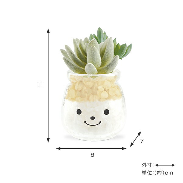 �ե��������꡼�� �͹����տ�ʪ �ե��ߡ��� �ý������ƥ��ե�����륰�꡼�� ���ߥ꡼ �� ¤�� �͹���ʪ ���տ�ʪ �͹� ��ʪ ¿����ʪ �ꥢ�� ct���� �ý� �ɱ� ���� ���� ���� ��ӥ� ���å��� ����ƥꥢ �ˡ�39����åס�