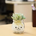 フェイクグリーン 人工観葉植物 ファミーユ 消臭アーティフィシャルグリーン エミリー ( 造花 人工植物 観葉植物 人工 植物 多肉植物 リアル ct触媒 消臭...
