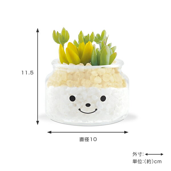 �ե��������꡼�� �͹����տ�ʪ �ե��ߡ��� �ý������ƥ��ե�����륰�꡼�� �ʥ��꡼ �� ¤�� �͹���ʪ ���տ�ʪ �͹� ��ʪ ¿����ʪ �ꥢ�� ct���� �ý� �ɱ� ���� ���� ���� ��ӥ� ���å��� ����ƥꥢ �ˡ�39����åס�