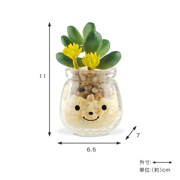 �ե��������꡼�� �͹����տ�ʪ �ե��ߡ��� �ý������ƥ��ե�����륰�꡼�� ���ǥ� �� ¤�� �͹���ʪ ���տ�ʪ �͹� ��ʪ ¿����ʪ �ꥢ�� ct���� �ý� �ɱ� ���� ���� ��ӥ� ���ե��� ����ƥꥢ �ˡ�39����åס�