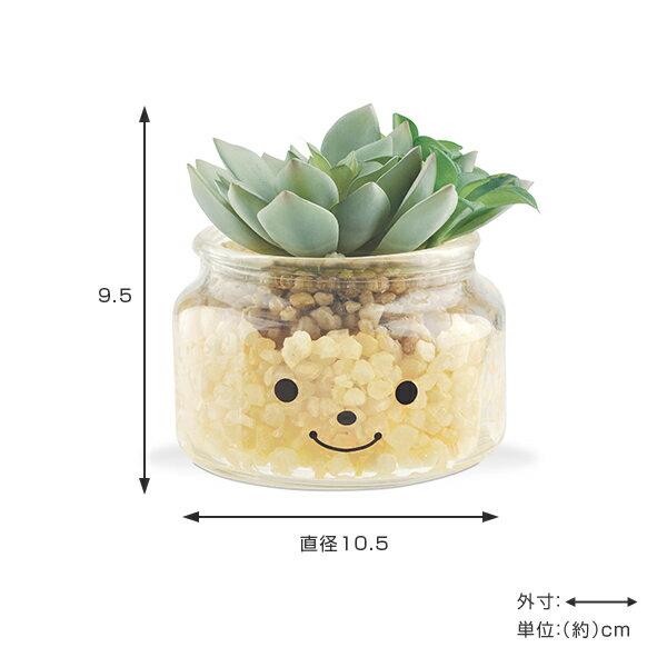 �ե��������꡼�� �͹����տ�ʪ �ե��ߡ��� �ý������ƥ��ե�����륰�꡼�� �������� �� ¤�� �͹���ʪ ���տ�ʪ �͹� ��ʪ ¿����ʪ �ꥢ�� ct���� �ý� �ɱ� ���� ���� ��ӥ� ���ե��� ����ƥꥢ �ˡ�39����åס�