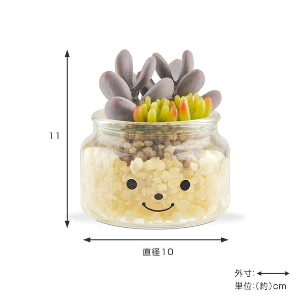 �ե��������꡼�� �͹����տ�ʪ �ե��ߡ��� �ý������ƥ��ե�����륰�꡼�� ��꡼ �� ¤�� �͹���ʪ ���տ�ʪ �͹� ��ʪ ¿����ʪ �ꥢ�� ct���� �ý� �ɱ� ���� ���� ��ӥ� ���ե��� ����ƥꥢ �ˡ�39����åס�