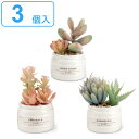フェイクグリーン 3個入 Bset エクリア CT触媒 観葉植物 ( ミニ 人工観葉植物 造花 空気清浄 消臭 抗菌 防汚 お手入れ不要 清潔 安心 マイナスイ...