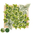 人工観葉植物 壁面 フレーム付 エクリア 消臭 アーティフィシャルグリーン フェイクグリーン ( 観葉植物 造花 CT触媒 光触媒 壁 リアル 軽量 取り付け ...
