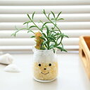 フェイクグリーン 人工観葉植物 ファミーユ 消臭アーティフィシャルグリーン ジャック ( 造花 人工植物 観葉植物 人工 植物 多肉植物 リアル ct触媒 消臭...