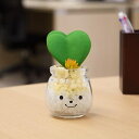 フェイクグリーン 人工観葉植物 ファミーユ 消臭アーティフィシャルグリーン ミーナ ( 造花 人工植物 観葉植物 人工 植物 多肉植物 リアル ct触媒 消臭 ...