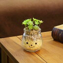 フェイクグリーン 人工観葉植物 ファミーユ 消臭アーティフィシャルグリーン ニコラ ( 造花 人工植物 観葉植物 人工 植物 多肉植物 リアル ct触媒 消臭 ...