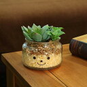フェイクグリーン 人工観葉植物 ファミーユ 消臭アーティフィシャルグリーン ジェシカ ( 造花 人工植物 観葉植物 人工 植物 多肉植物 リアル ct触媒 消臭...