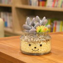 フェイクグリーン 人工観葉植物 ファミーユ 消臭アーティフィシャルグリーン リリー ( 造花 人工植物 観葉植物 人工 植物 多肉植物 リアル ct触媒 消臭 ...
