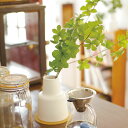 フェイクグリーン ドウダンツツジ L 人工観葉植物 エクリア ( 卓上 観葉植物 造花 CT触媒 光触媒 消臭 防汚 抗菌 簡単 清潔 安心 インテリア 玄関 ...