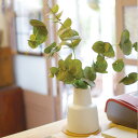 フェイクグリーン ユーカリ L 人工観葉植物 エクリア ( 卓上 観葉植物 造花 CT触媒 光触媒 消臭 防汚 抗菌 簡単 清潔 安心 インテリア 玄関 デスク...