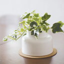 フェイクグリーン アイビー M 人工観葉植物 エクリア ( 卓上 観葉植物 造花 CT触媒 光触媒 消臭 防汚 抗菌 簡単 清潔 安心 インテリア 玄関 デスク...