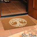 【先着】最大400円OFFクーポン有！ 玄関マット 50×75cm 厚さ 6mm 屋内兼用 wash＋dry Tree of Life Brown （ 送料無料 屋外 屋内 兼用 薄型 洗える 滑り止め ラグ ドアマット キッチン 室内 室外 インテリア おしゃれ 水洗い 洗濯機 吸水 リビング 庭 ） 【39ショップ】