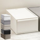 【レビュー特典付き】 【当店限定カラー】収納ケース 引き出し M 幅32×奥行52×高さ21.5cm クローゼットシステム ( 収納 クローゼット 衣類収納 衣...