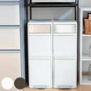 ゴミ箱 35L 55L 分別 スイングステーション 2段 3段 ( 35リットル 55リットル ダストボックス ごみ箱 キッチン 作業台 ふた付き 分別ゴミ箱 ...