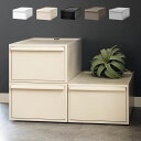 【レビュー特典付き】 収納ケース