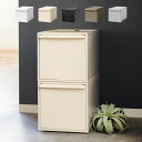 【レビュー特典付き】 収納ケース