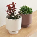 植木鉢 Manon セラミック ( プランター プラントポット 植物用ポット 鉢 花器 鉢カバー ポット 丸 受皿 植木鉢カバー 鉢入れ 植物 花 観葉植物 多...