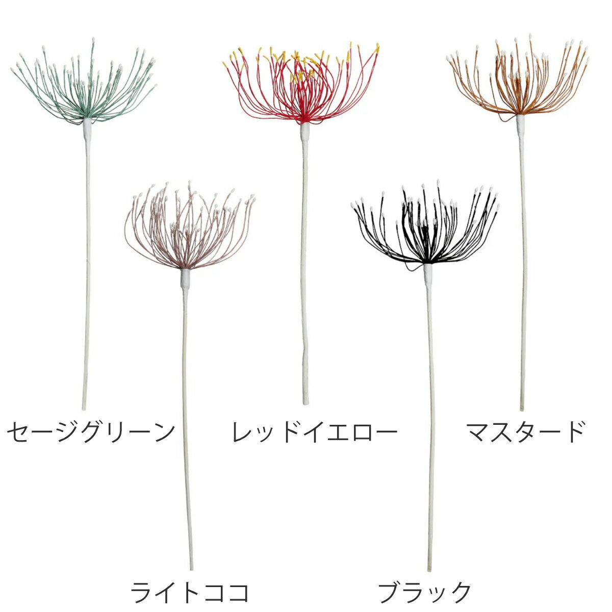 �꡼�ɥ��ƥ��å� LYCORIAS �ҥ���Х� �� �ǥ��ե塼������ �꡼�� ���ƥ��å� ���ƥ��å��Τ� ��߲� ¤�� �롼��ե쥰��� �����ޥ��ƥ��å� �꡼�ɥǥ��ե塼���� ˧��� �ǥ��ե塼���� ������� �ˡ�39����åס�