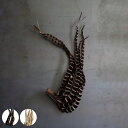 ドライフラワー CASTO PALM FINGER ( パーム ヤシ 枝 枝物 インテリア 花材 ナチュラル おしゃれ オブジェ 雑貨 植物 うねうね 枝もの ...