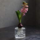 花瓶 ウリカ ショート ( 花ビン 花びん 花器 ベース ガラスベース フラワー 花 飾る 一輪挿し 花入れ ガラス ガラス製 クリア 透明 )【39ショップ】
