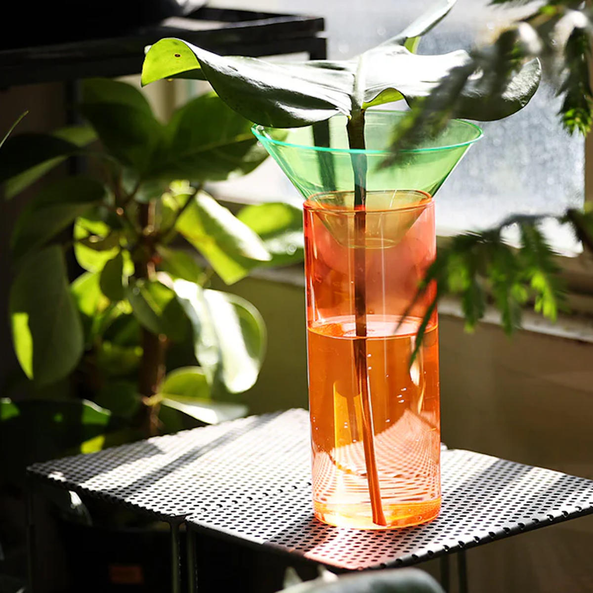 Rakuten - フラワーベース GLOW GROW SUN LEAF ガラス （ 花ビン 花びん 花器 フラワー 花 飾る 水耕栽培 花入れ ガラス製 ネオン おしゃれ 一輪挿し モンステラ 挿し木 株分け 高い オブジェ セパレート ）【39ショップ】